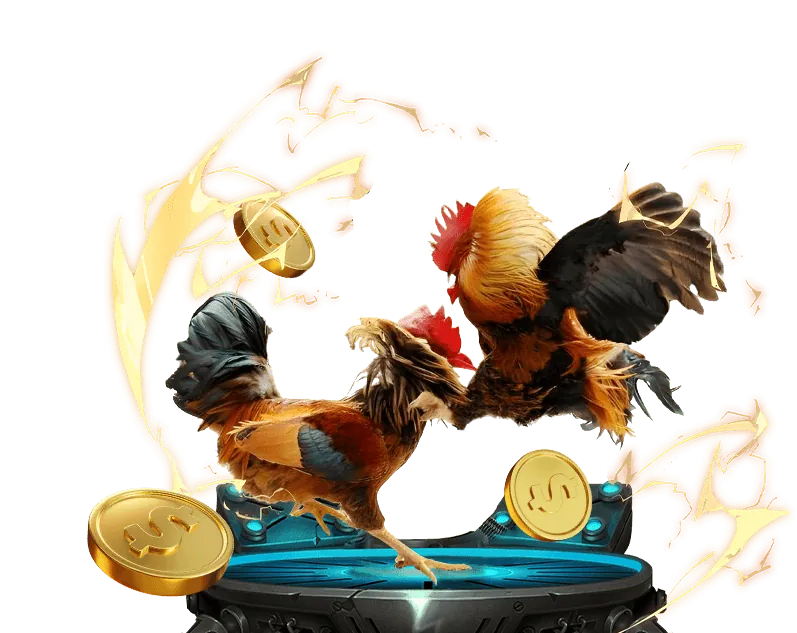 Đá gà trực tuyến với những trận đấu kịch tính